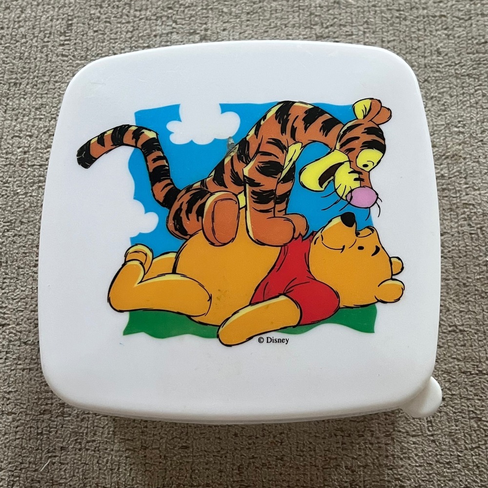 Vintage Disney Winnie the Pooh Tigger Plastic Snack Container Gift Designs WP123